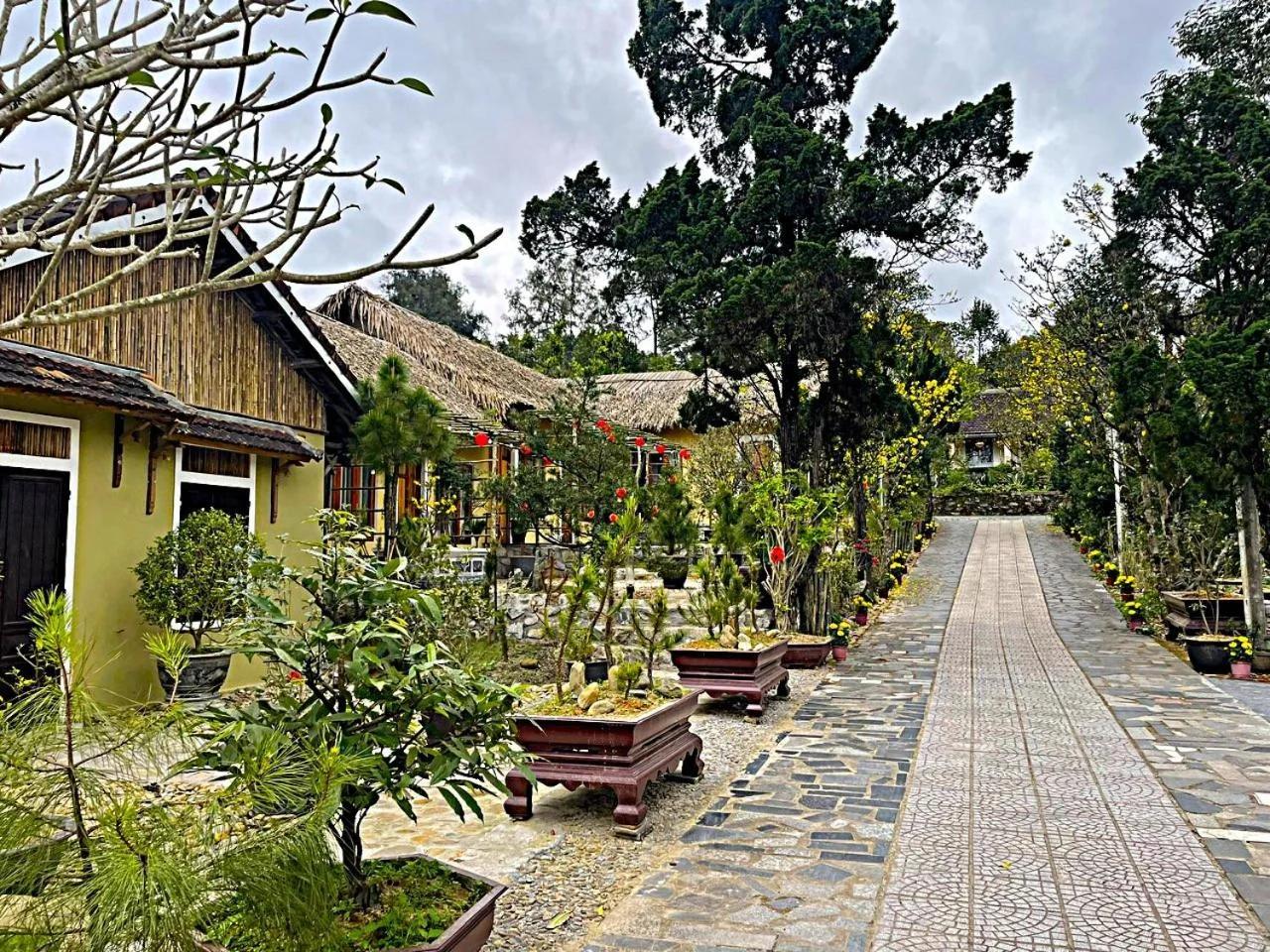 Pine Garden Homestay - Nhà trong vườn photo