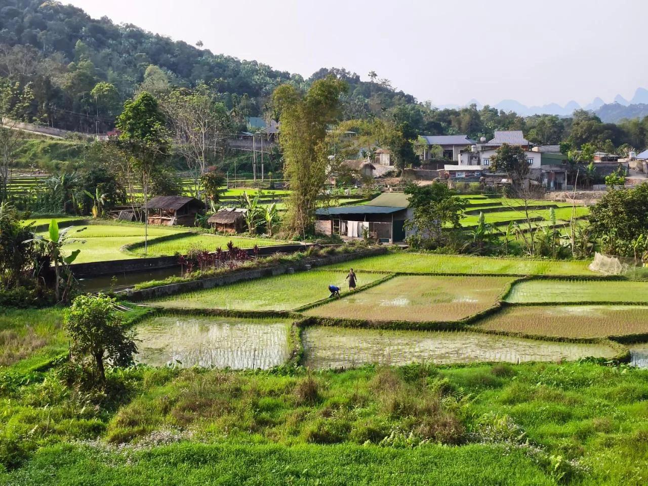 Vietnam Village Homestay photo