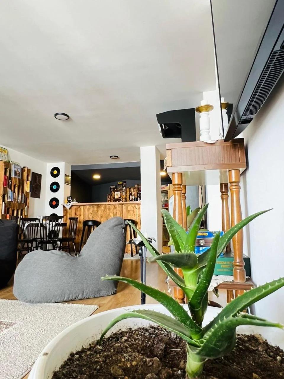 Hostel Prishtina Backpackers foto