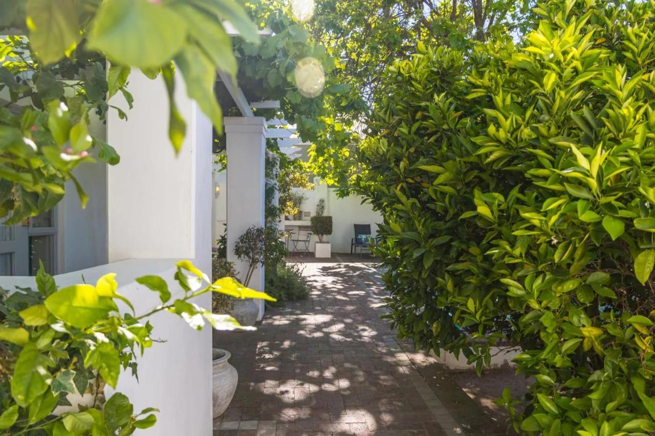 Ashbourne Boutique Guest House foto