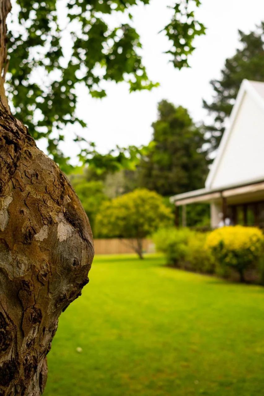 BWHALE guest house B&B foto