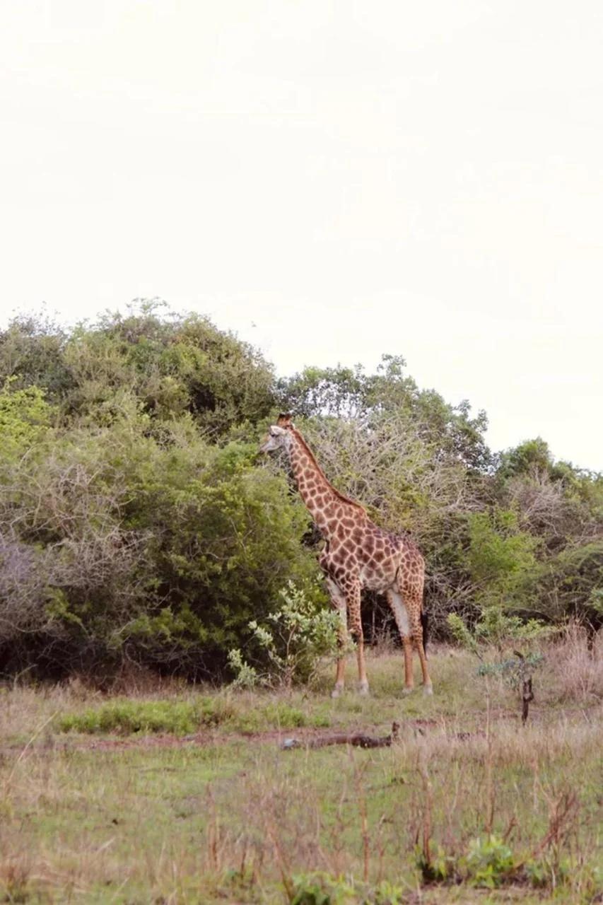 Mkhuze Trails Lodge foto