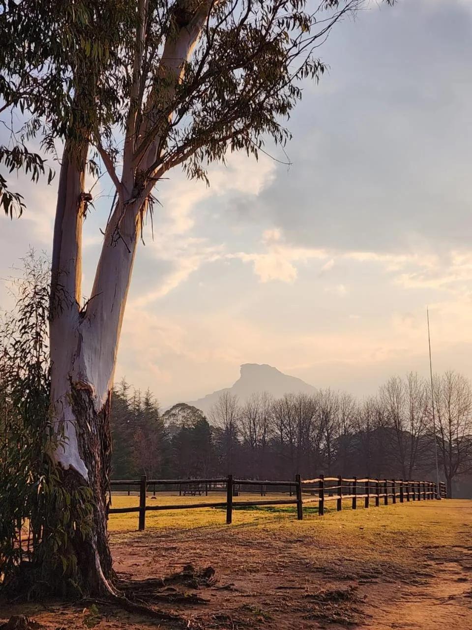 Shiloh Country Cottage foto