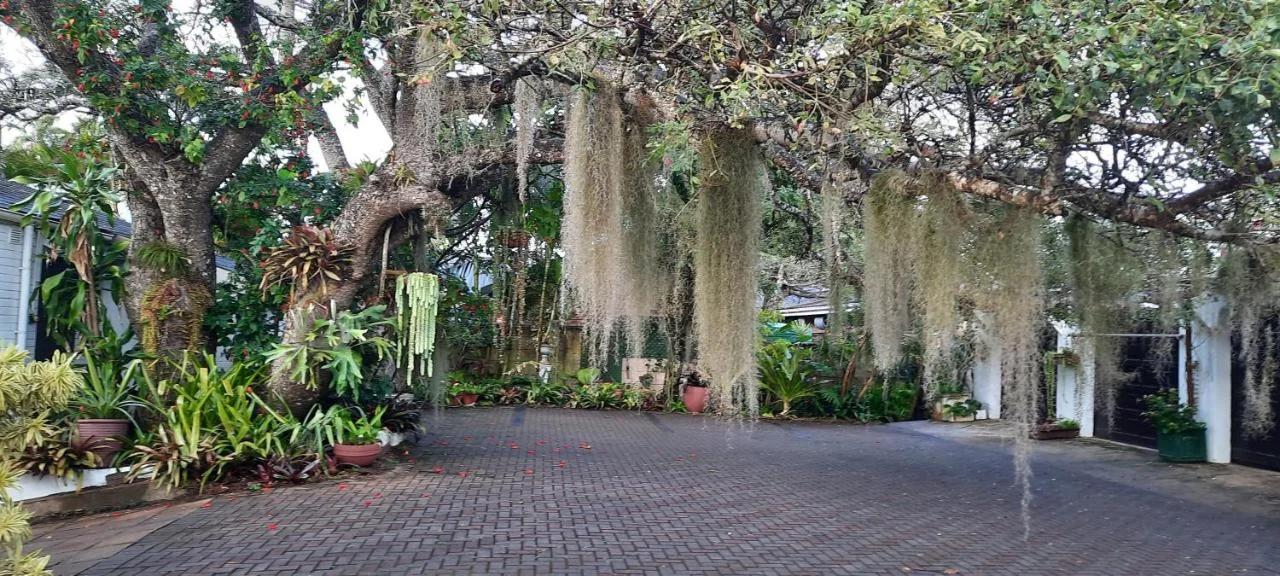 St. Lucia Wetlands Guest House photo