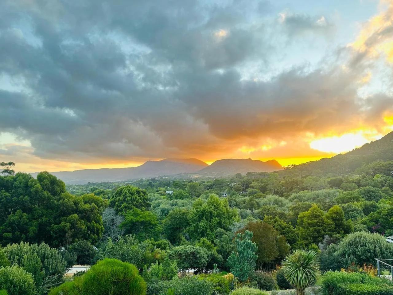 Vine and Valley Retreat