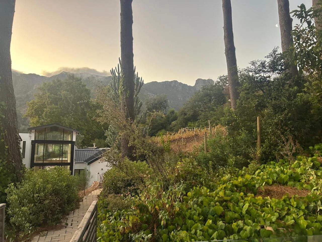 Vine and Valley Retreat foto