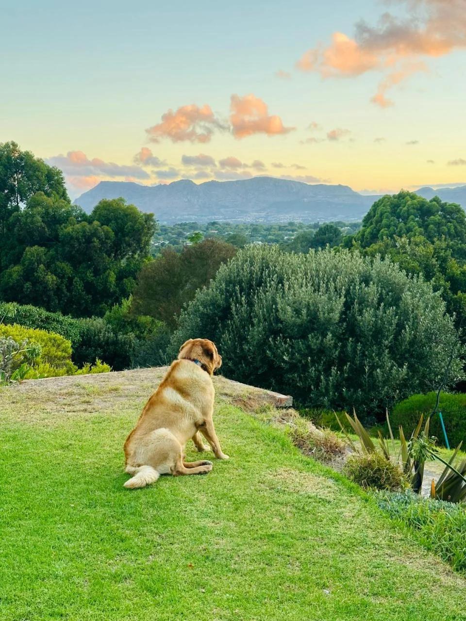 Vine and Valley Retreat foto