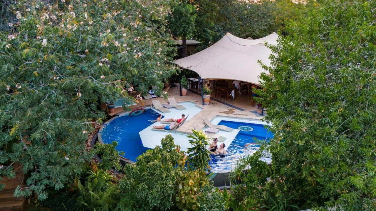 Shongwe Oasis foto