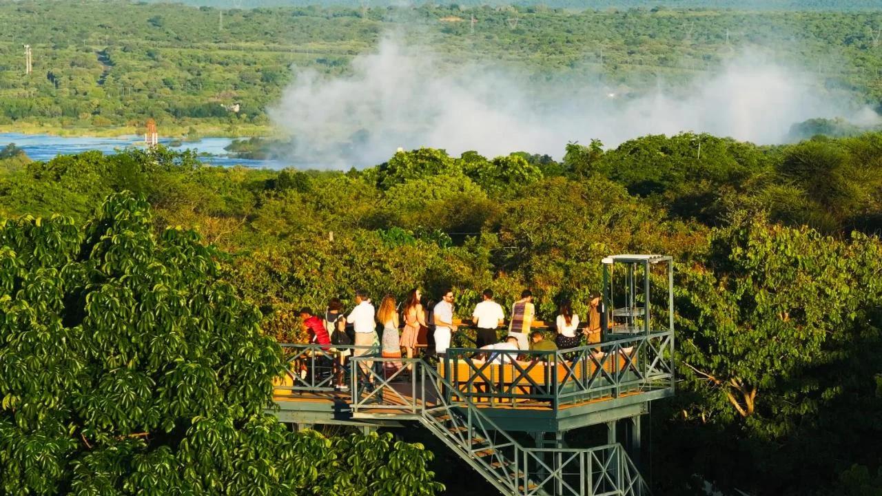 Shongwe Oasis foto