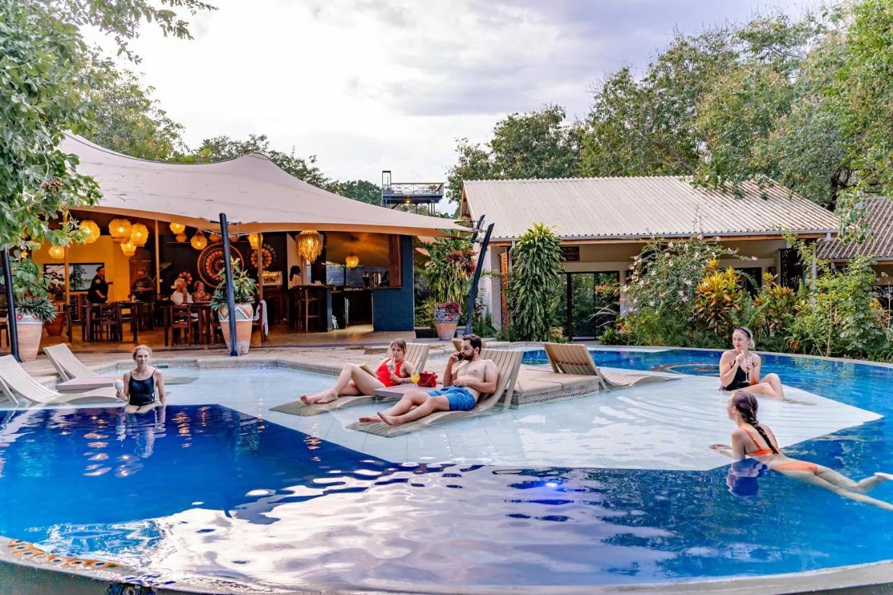 Shongwe Oasis foto