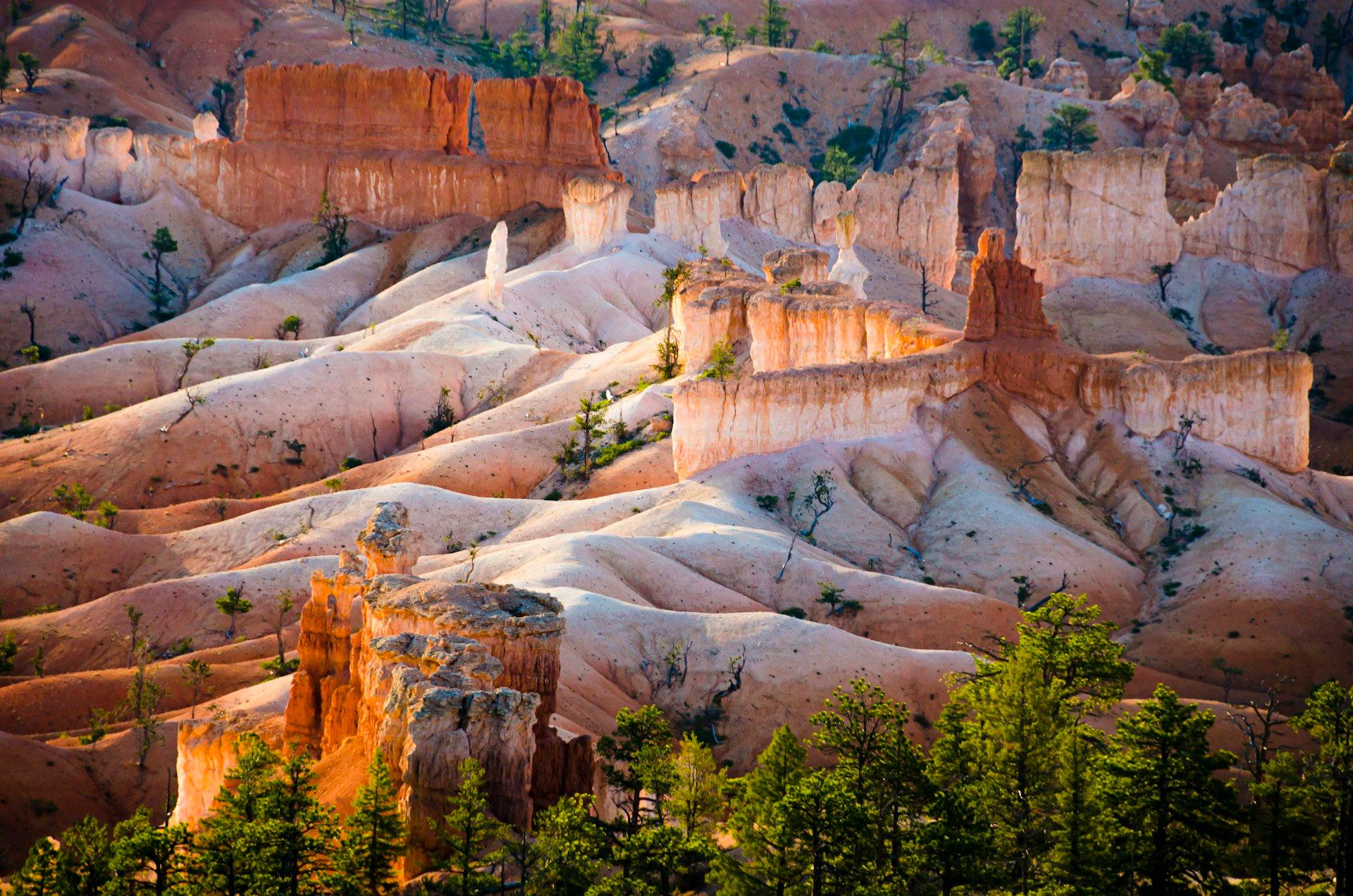 Bryce Canyon, United States