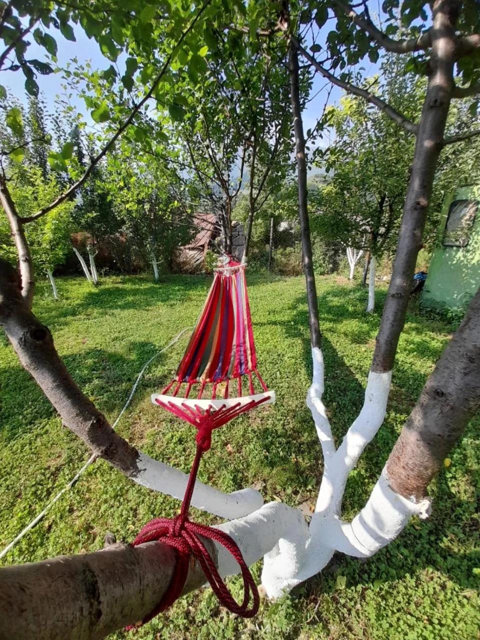 Ana-Maria Bnb photo