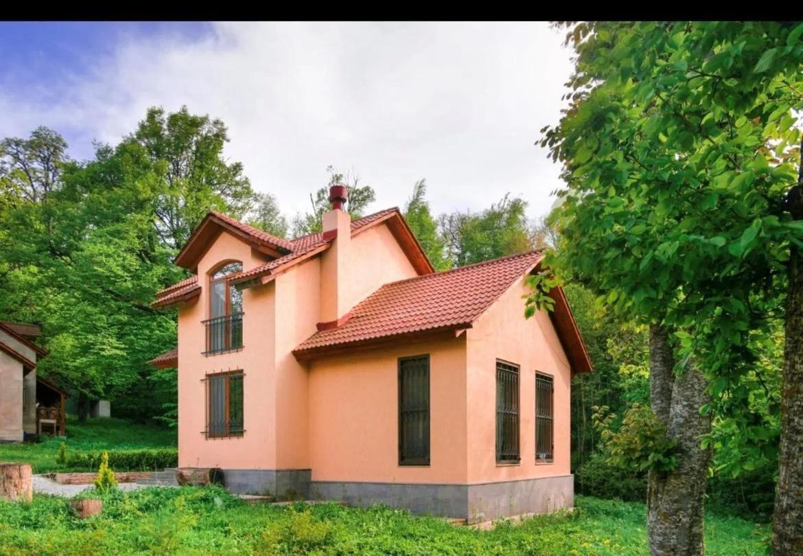 Dilijan Dream House! 3 Bedroom Amazing Villa in National Park! foto