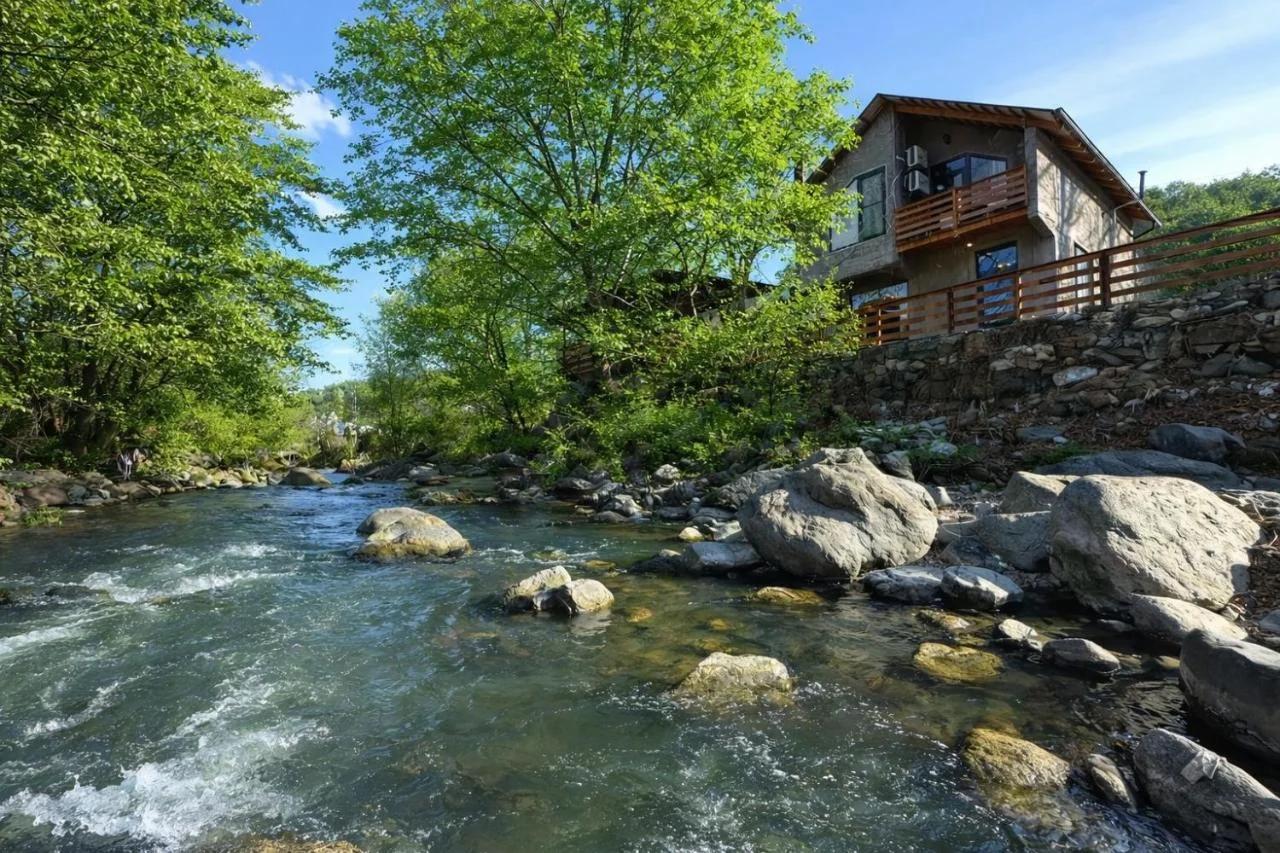 Home N 57 photo