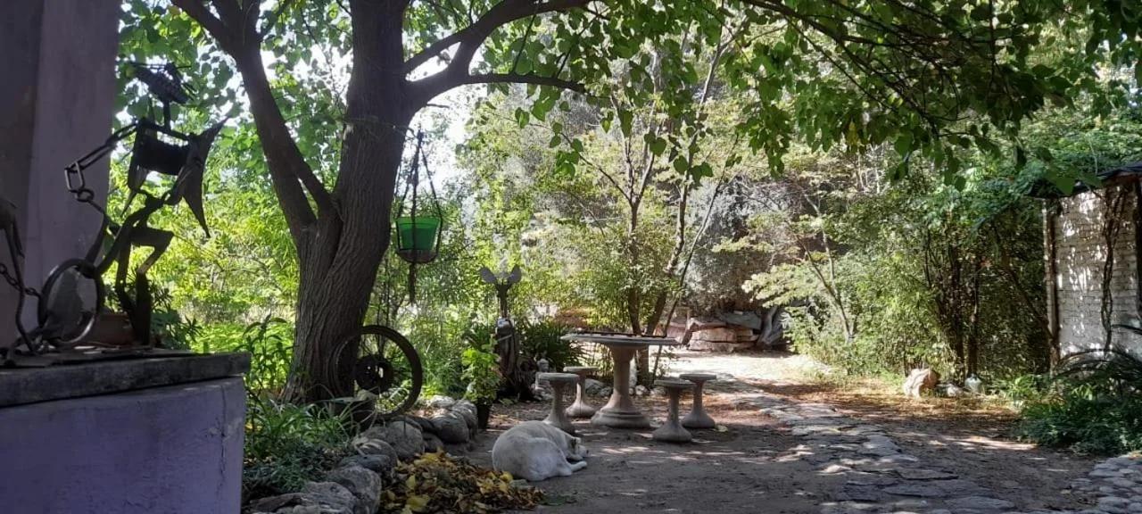Casa alma verde