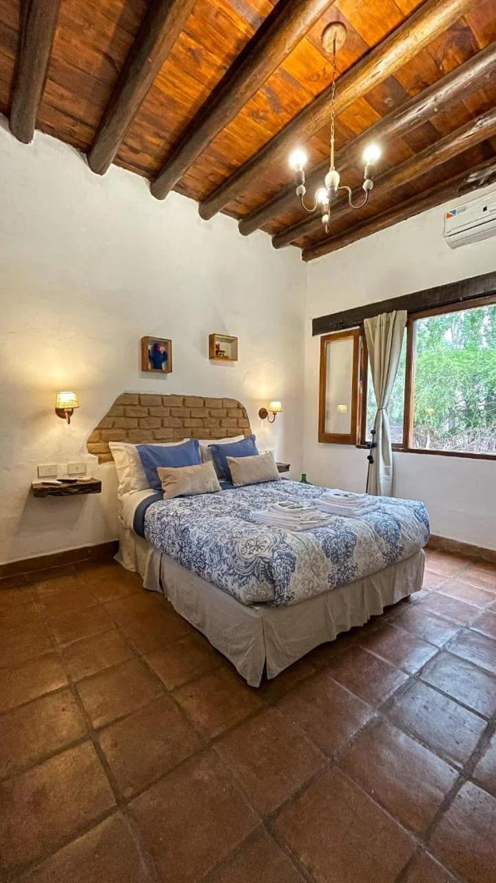 Pasillos del Viñedo foto