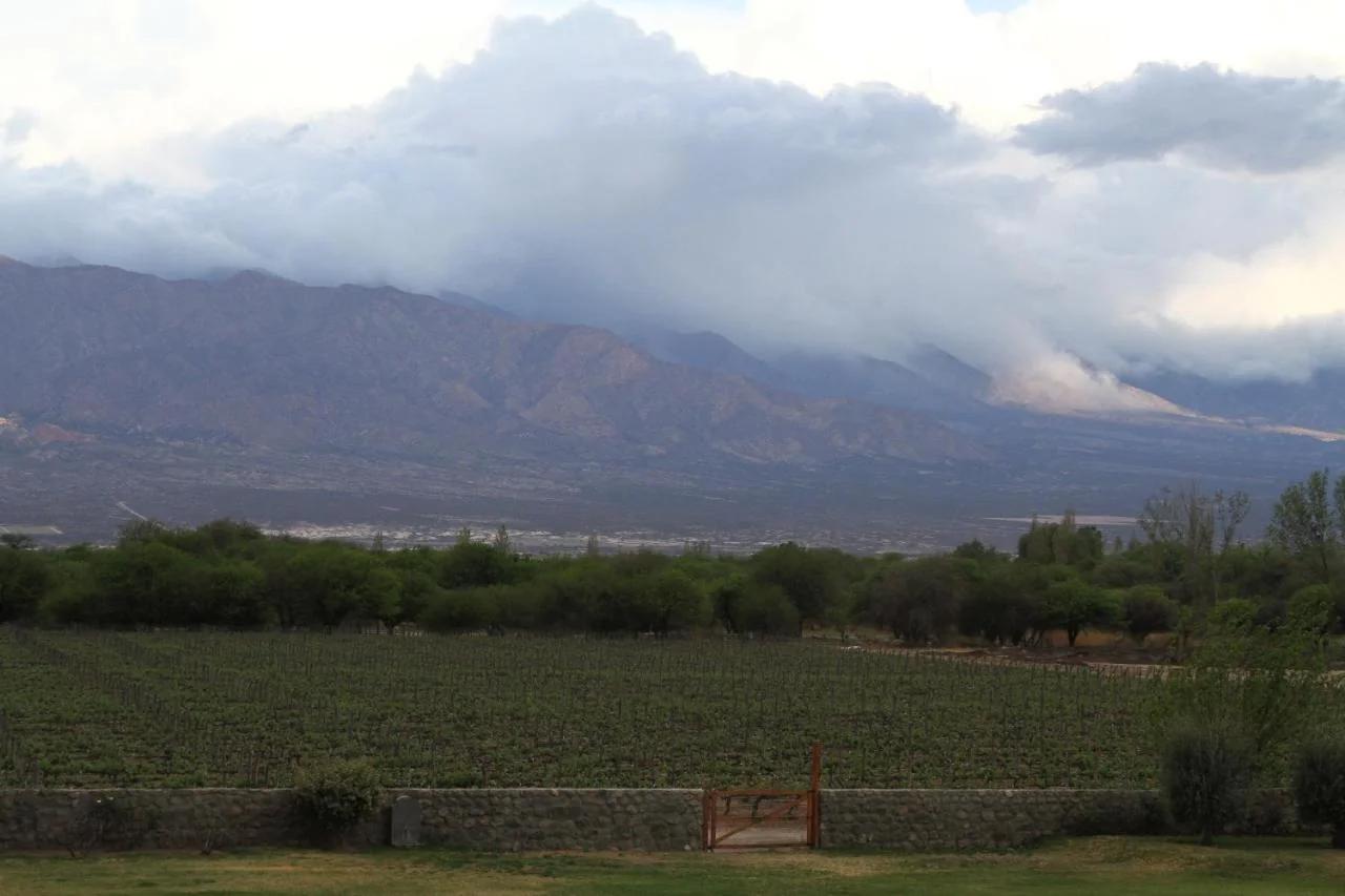 Patios de Cafayate - Wine Hotel & Restaurant foto