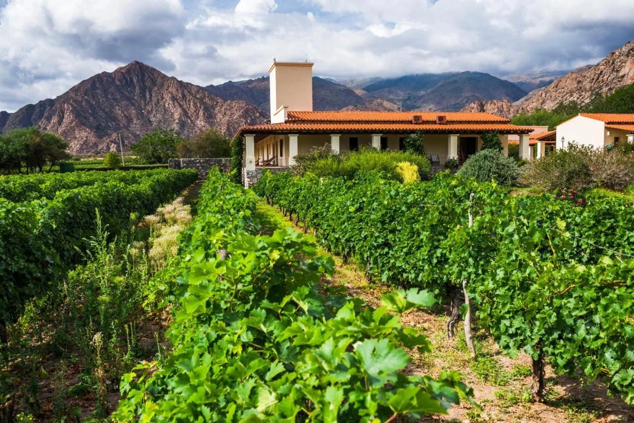 Viñas De Cafayate Wine Resort foto