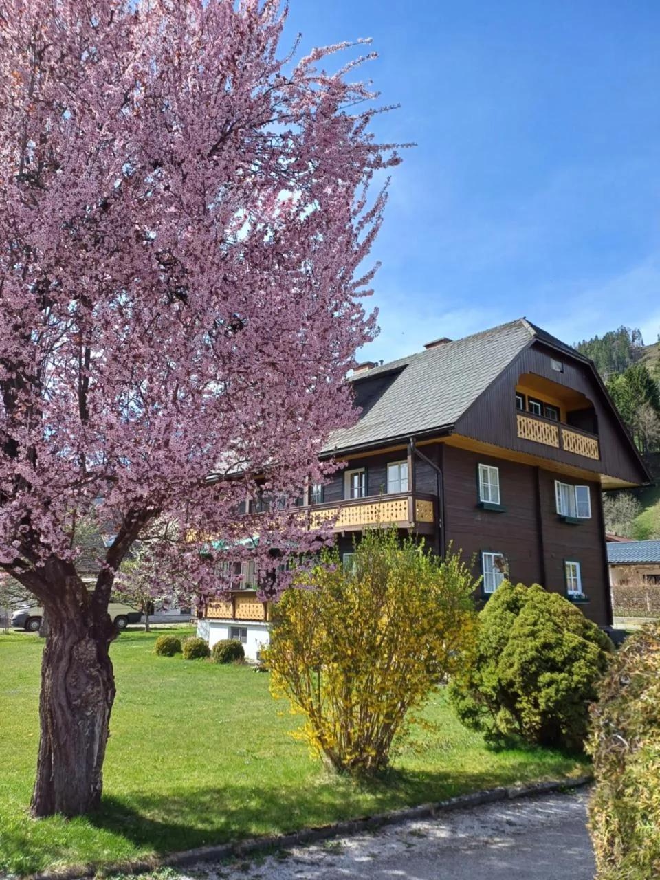Appartement Steiner foto