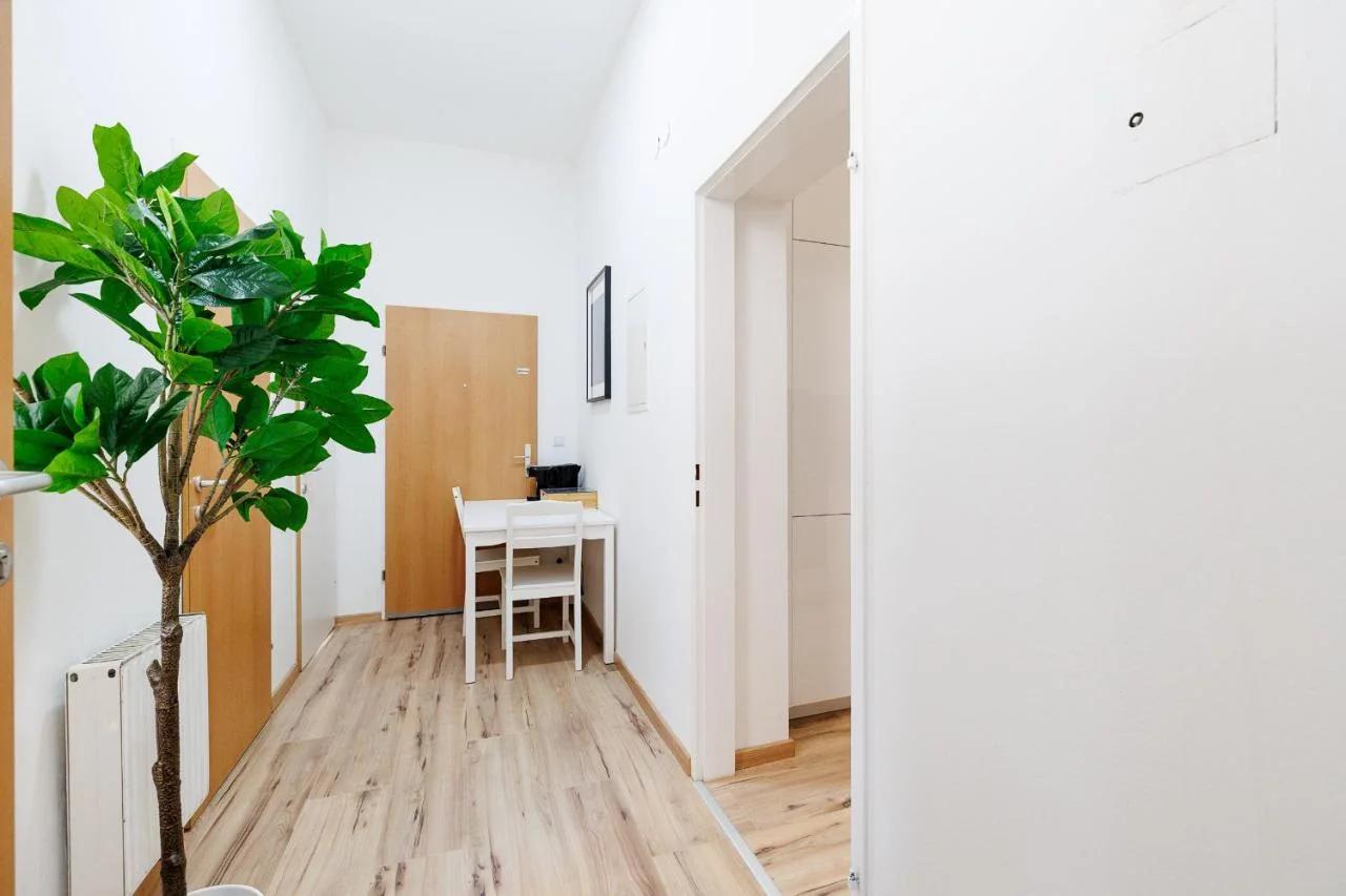 Hostel Belvedere - Central & Renovated photo