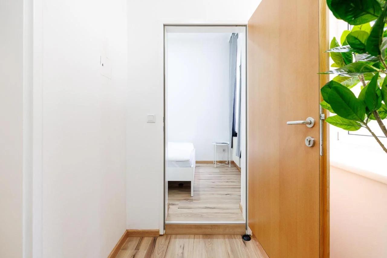 Hostel Belvedere - Central & Renovated photo