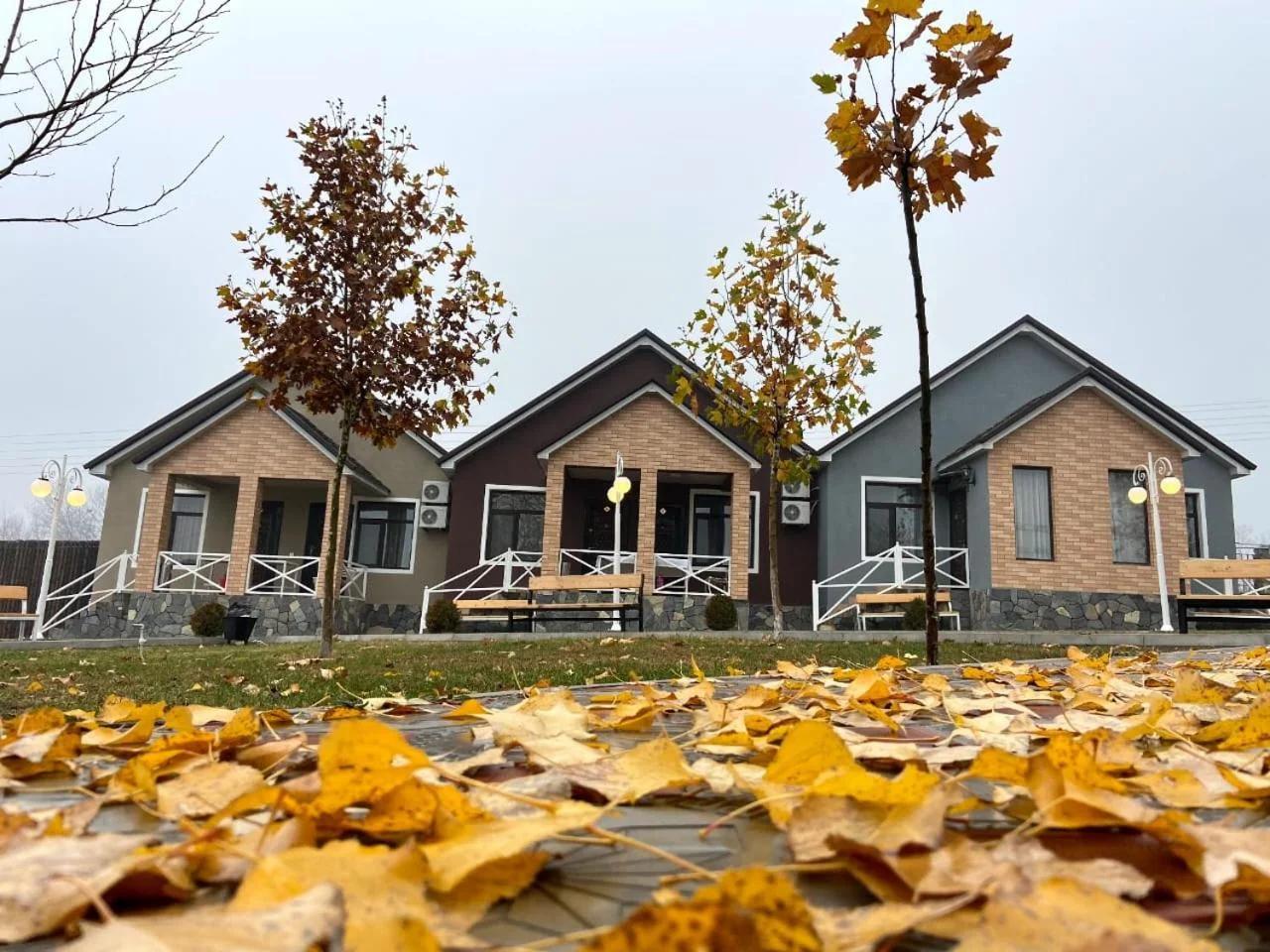 Tulpan Park Hotel foto