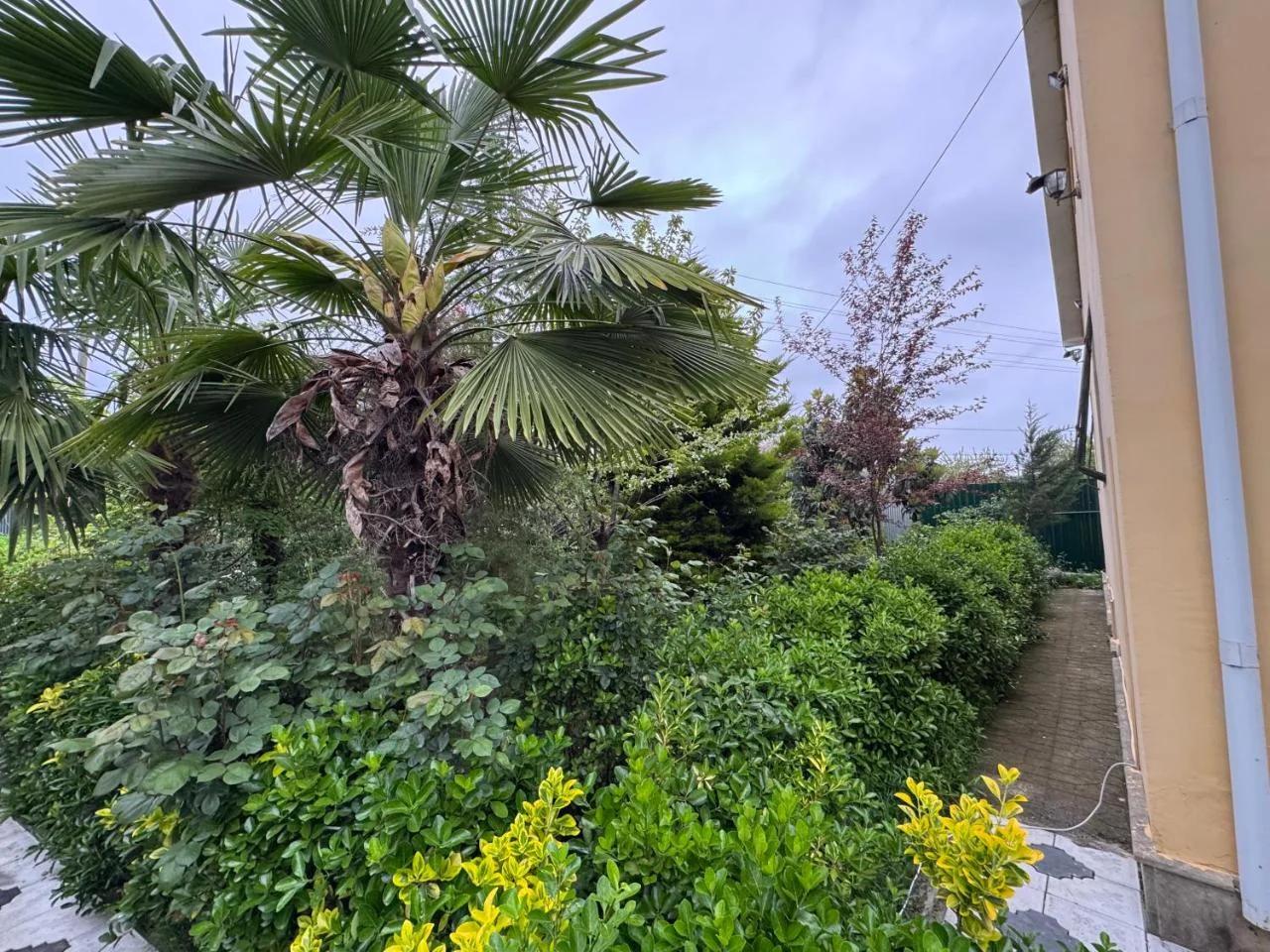 Villa Botanica Lankaran photo