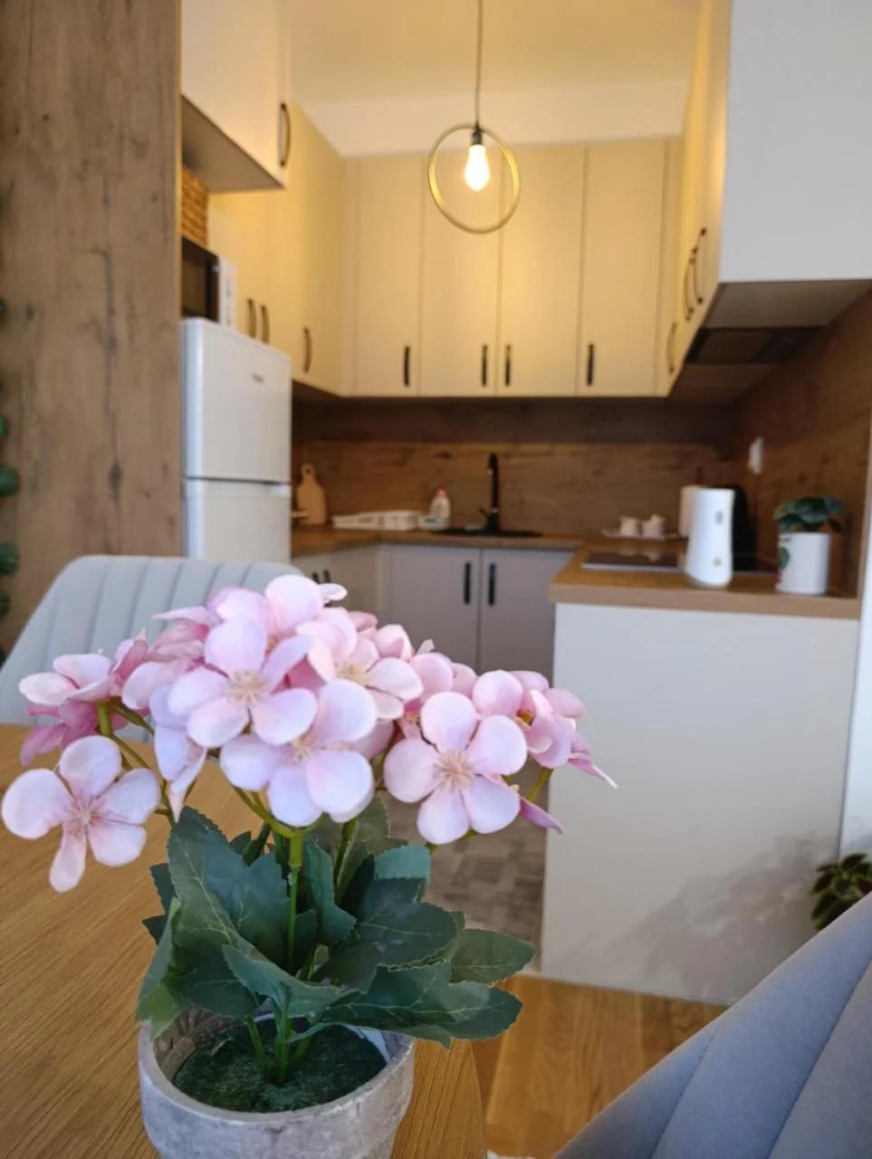 Apartman ANATEO Istocno Sarajevo photo
