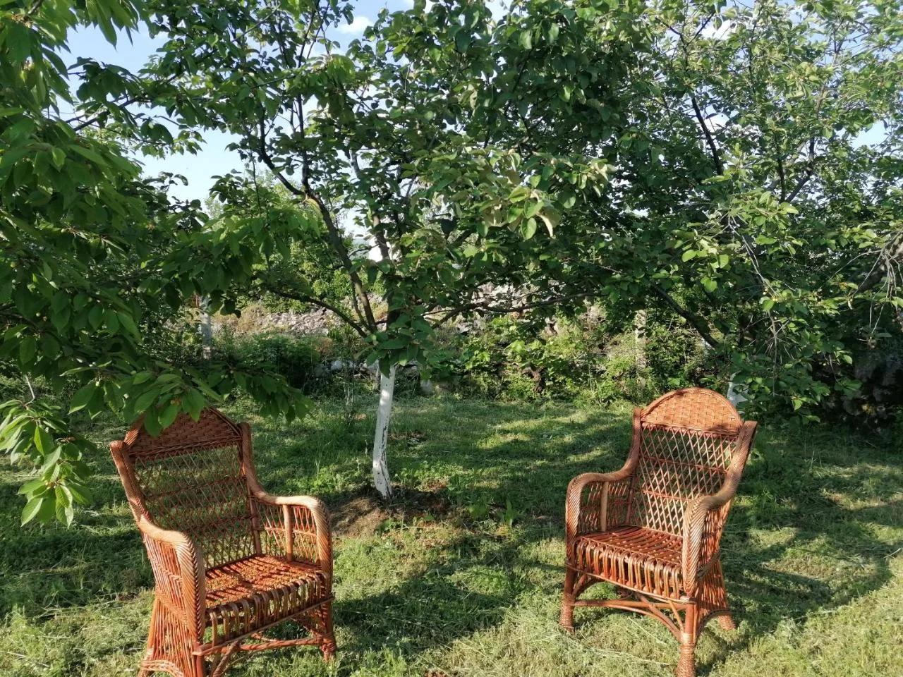 Bevanda photo