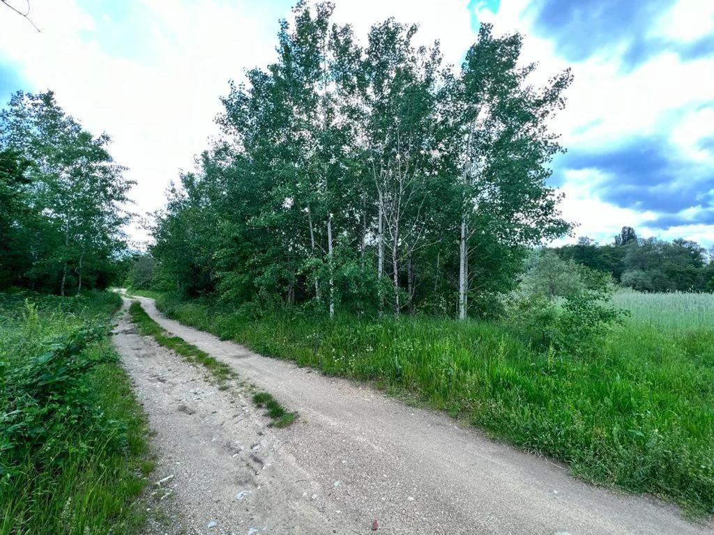 Къмпинг Частен Двор BULGARIAN CAMPSITE for Tents photo