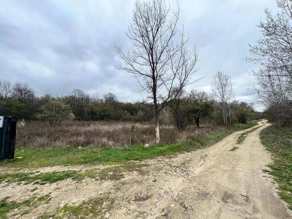 Къмпинг Частен Двор BULGARIAN CAMPSITE for Tents photo