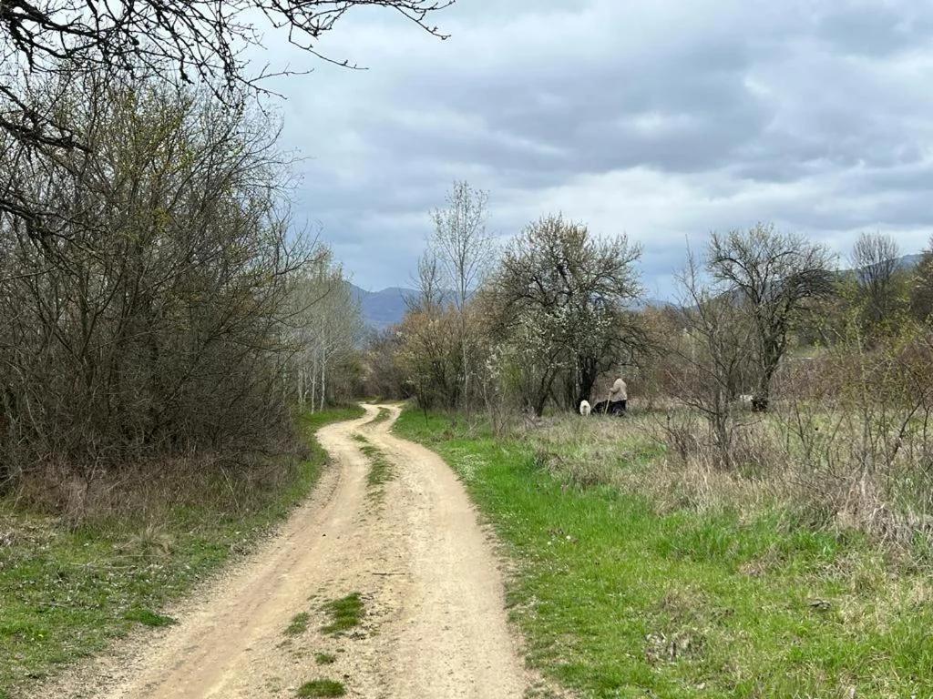 Къмпинг Частен Двор BULGARIAN CAMPSITE for Tents photo