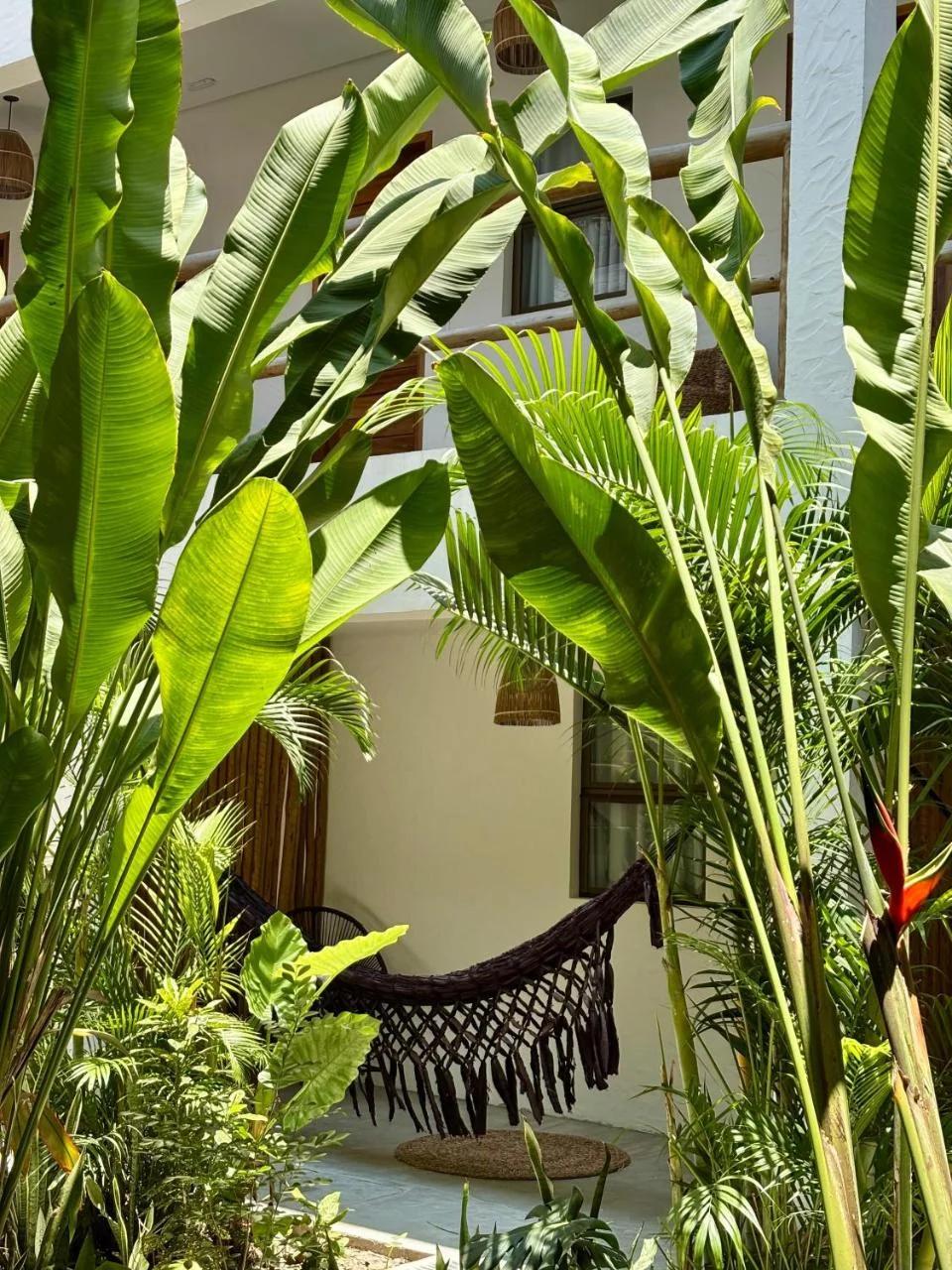 Pousada Baobá photo