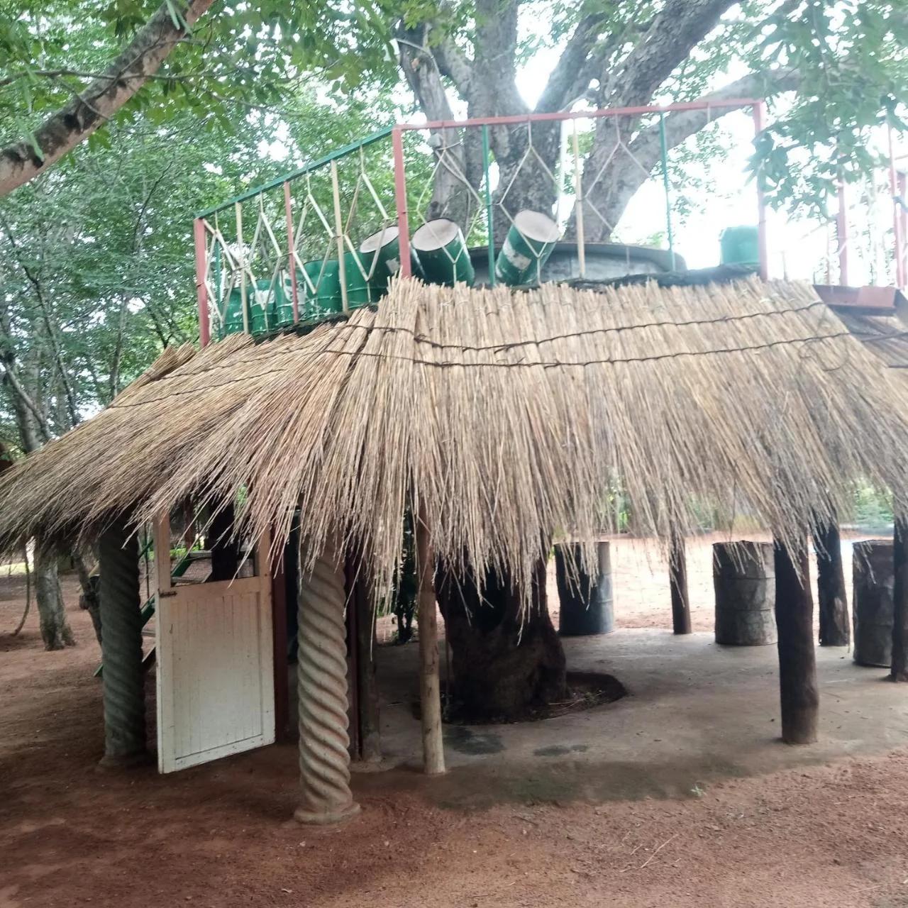 Bananyana Backpackers & Camp photo