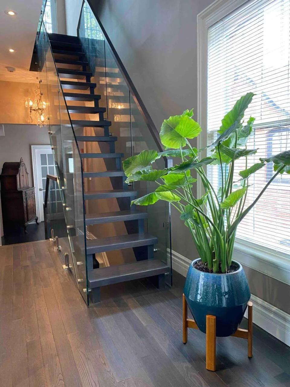 Downtown Luxury Victorian Retreat photo
