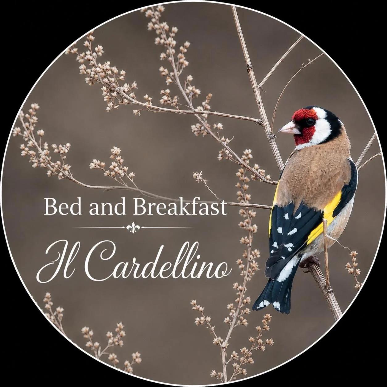 Bed and Breakfast Il Cardellino photo