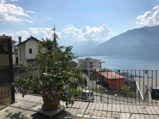 Casa Franceschini photo