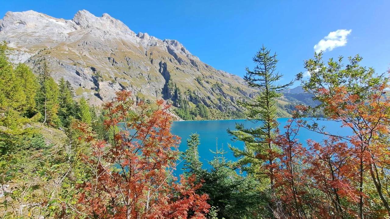 Chalet Diognysos B&B, Wellness & Boutique Hotel, Diogne Valais photo