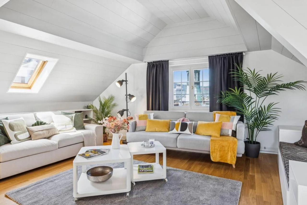 Old Town Zurich Penthouse Rooftop Terrace AC photo