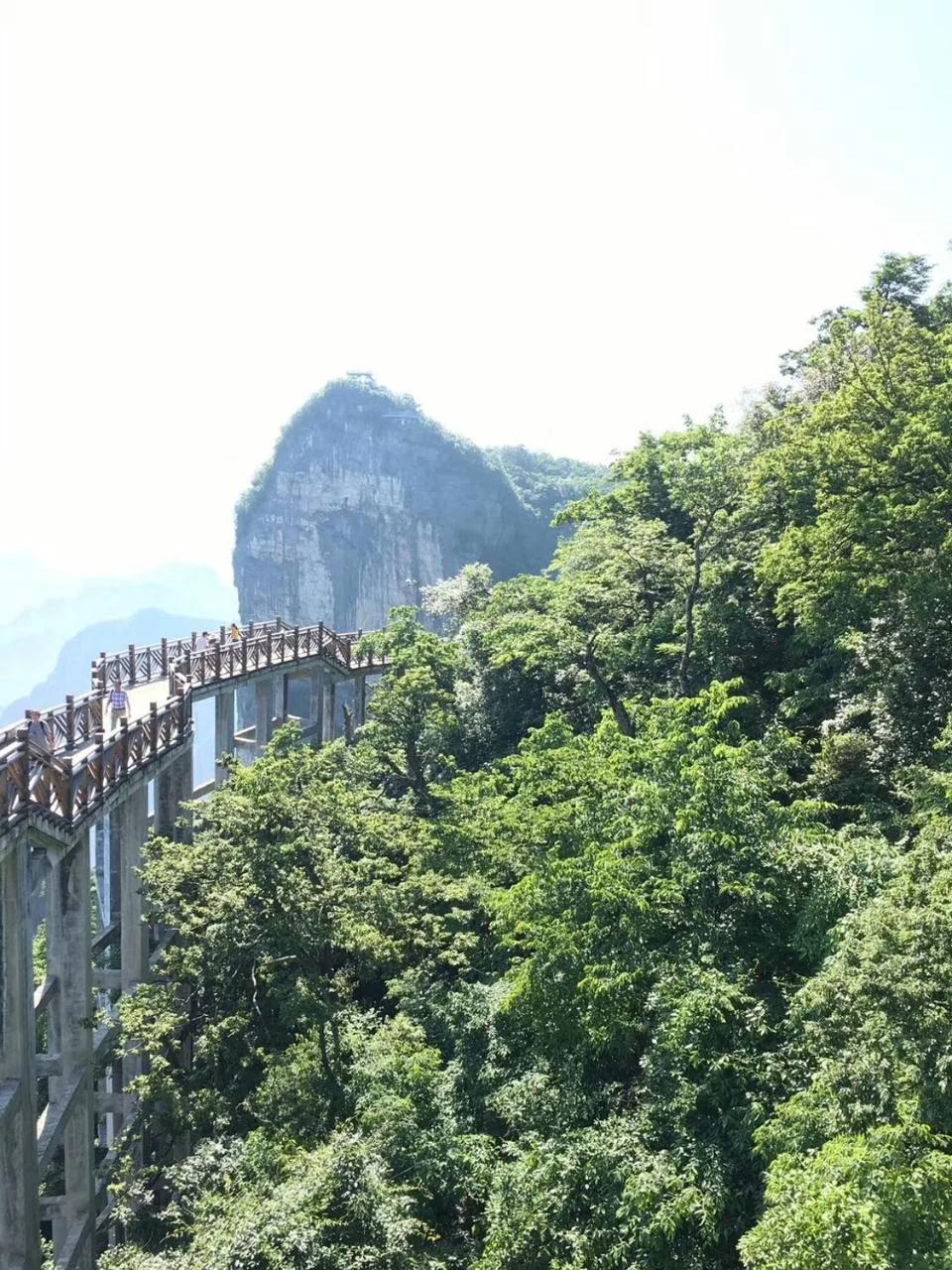 Luna's Travel House-Family and group-friendly,Walk 2 minutes to Tianmen Cableway,Free pick up service,Book tickets, Free Laundry,Experienced tour guide service,Group tour foto