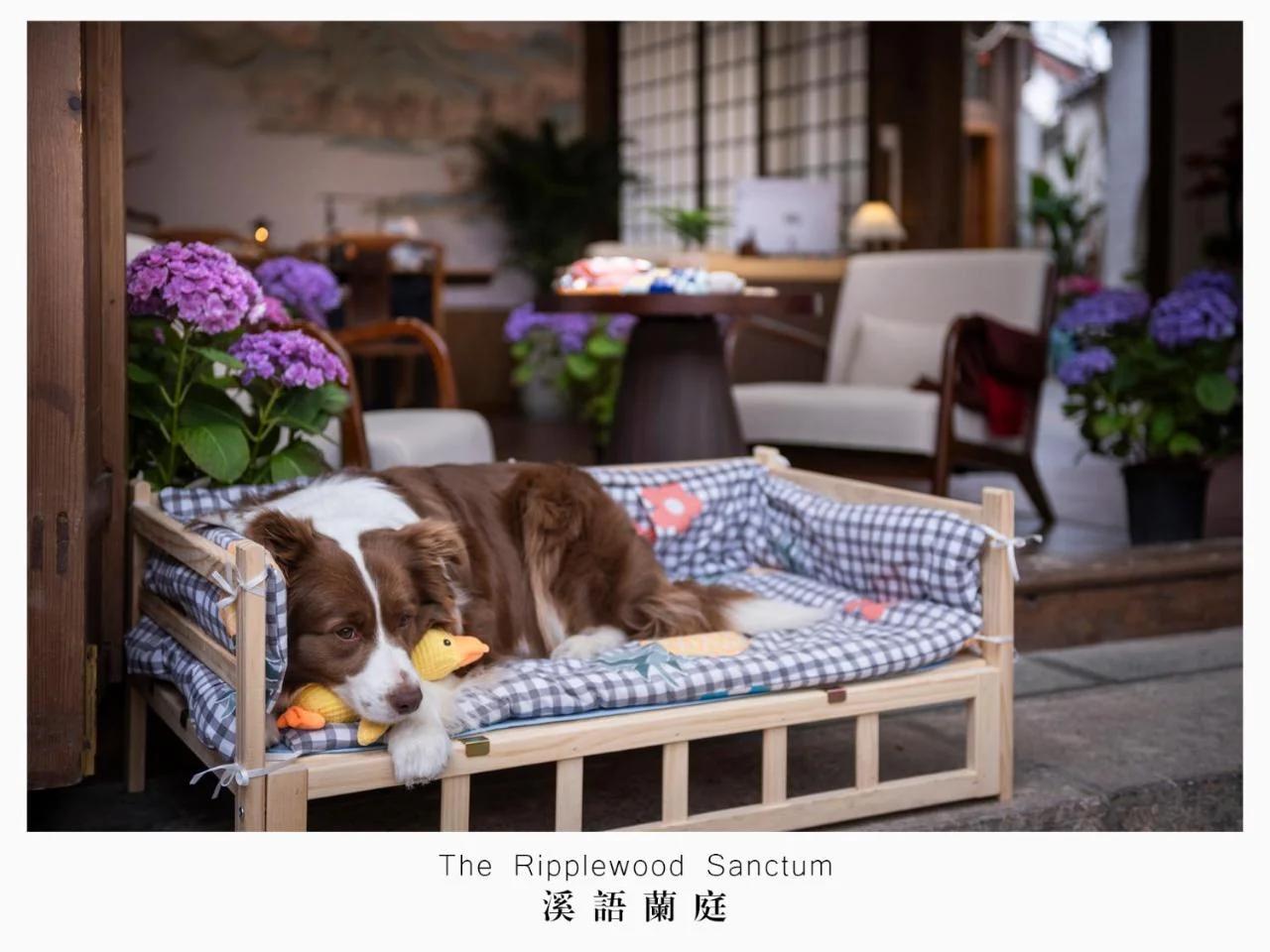 The Ripplewood Sanctum - Lijiang Old Town Mufu Branch - English service and tour arrangement - Affordable homemade dinner offered foto