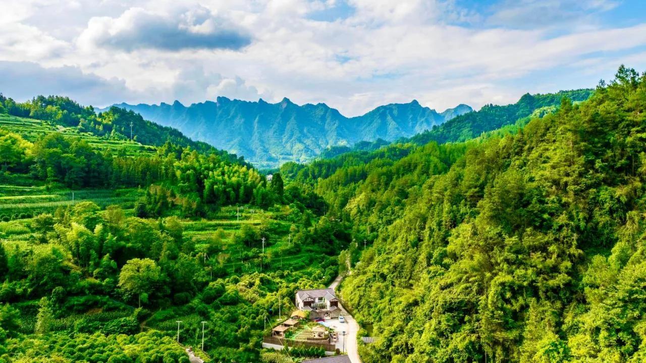 Your Quiet Place -Near Zhangjiajie Forest Park,Wulingyuan photo
