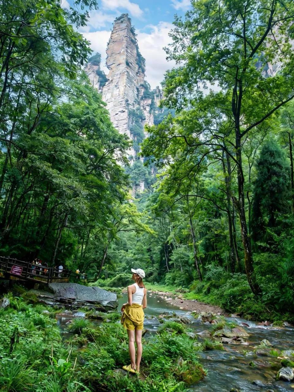 Zhangjiajie Yu Realm Hotel - Ancient Charm - Modern Luxury - Your Perfect Journey - A single pick-up or drop-off photo