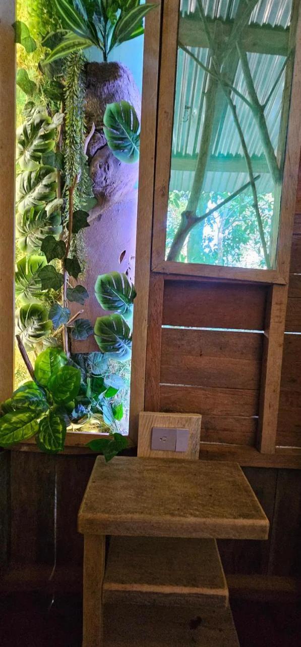 Casa en el árbol Gecko 7 - Yarumo photo