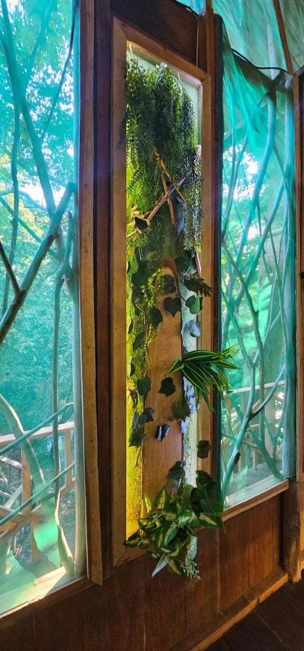 Casa en el árbol Gecko 7 - Yarumo photo