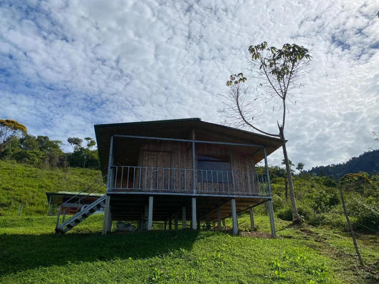 Cabaña con vista al mar y al bosque en Platanillo,Baru