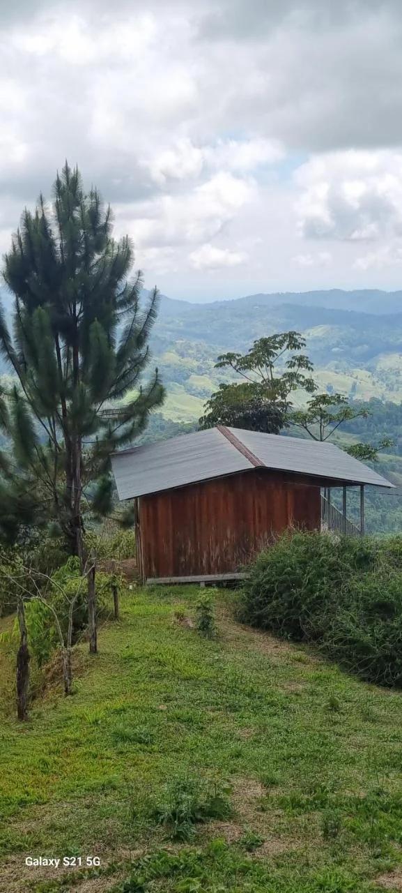 Cabaña con vistas al bosque de Platanillo y al océano Pacífico