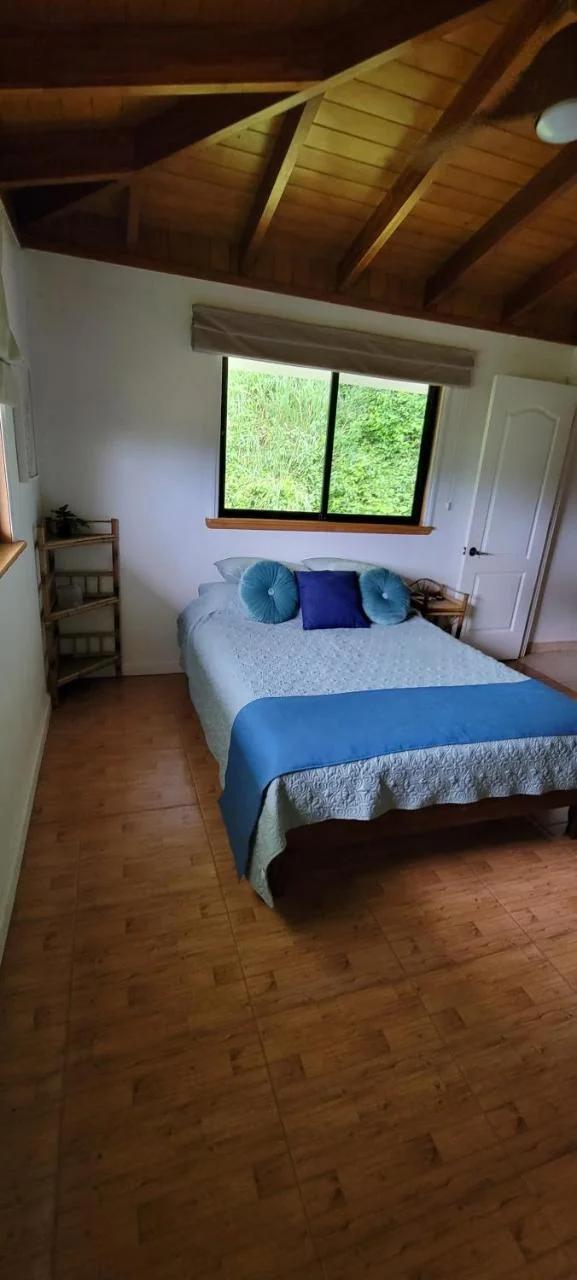 Casa Garrobo photo