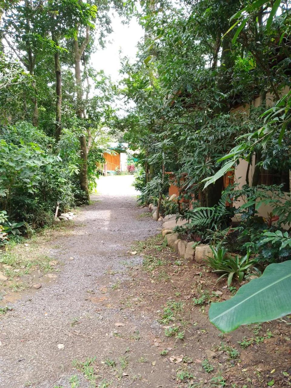Casitas del Bosque Monteverde. foto