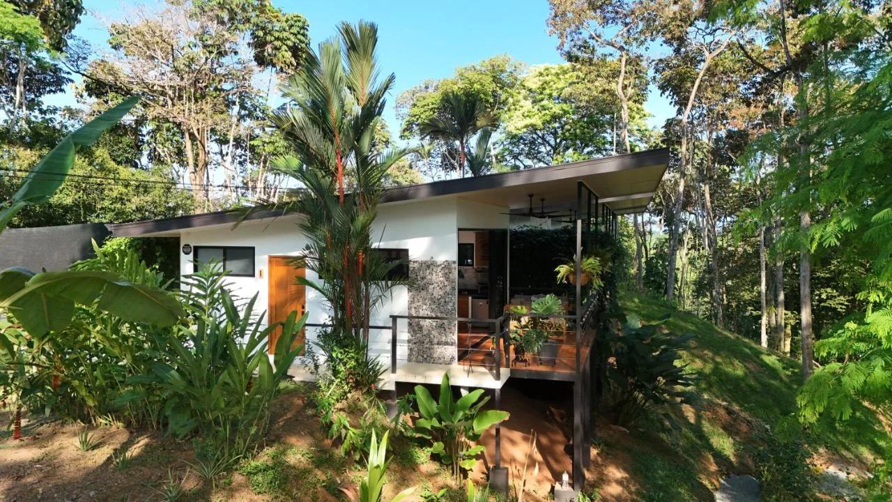 River Lodge - a Luxurious Hideway in the Jungle photo